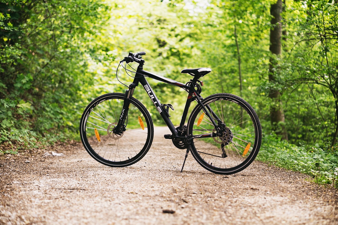 אופניים ביער השחור